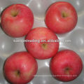 red fuji apple price